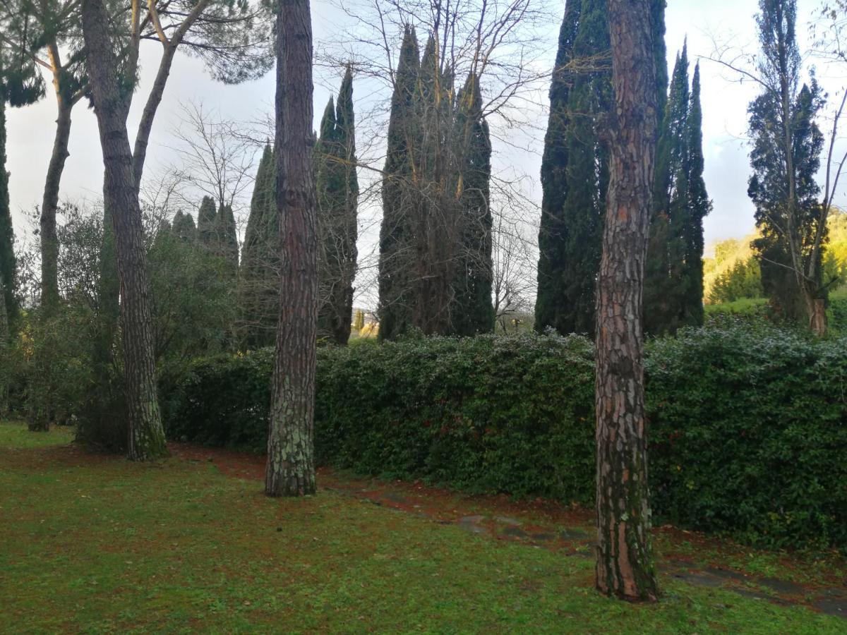Due Passi Nel Parco Con Parcheggio Gratuito Apartment Florence Luaran gambar